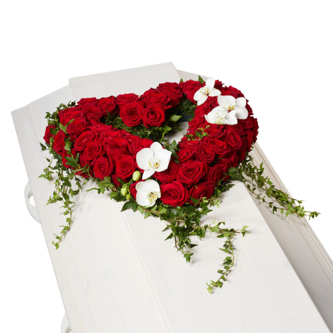 Begravningsblommor med röda rosor, vita orkidé klockor samt vackra hängandes murgröna som formar ett öppet hjärta på vit begravningskista.
