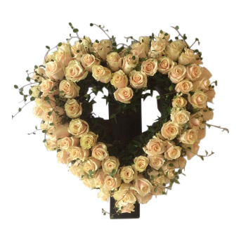 Flera champagne färgade rosor som utformar en begravningsblomma i form av ett hjärta med gröna talea som vackert kompletterar rosorna. Dekorationen är i mitten av en vit bakgrund.