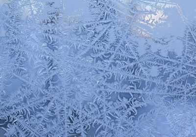 Frystorkning av avlidna