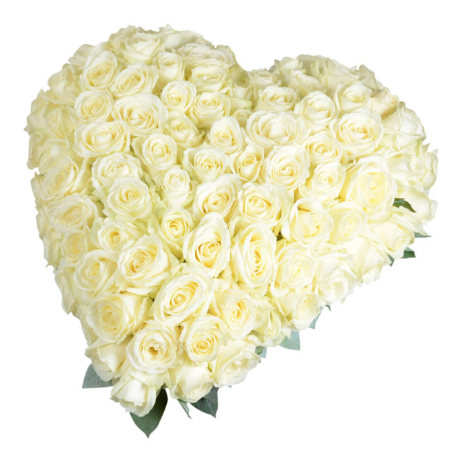 Elegant begravningsblomma bestående av ett stort hjärta fylld med vita stora rosor med små blad som sticker ut bakom hjärtat.Hjärtat är i mitten av en vit bakgrund.
