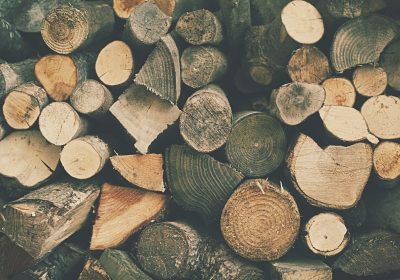 miljovanlig begravning